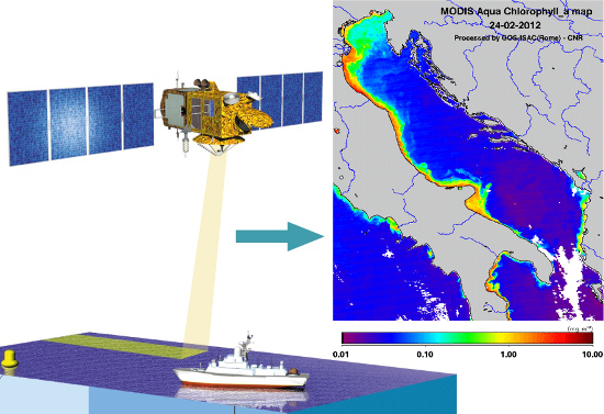 Satellite monitoring and assessment