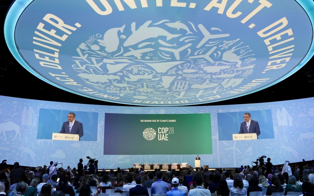L’Ateneo nella delegazione italiana alla Conferenza delle Nazioni Unite sui Cambiamenti Climatici (COP28) a Dubai